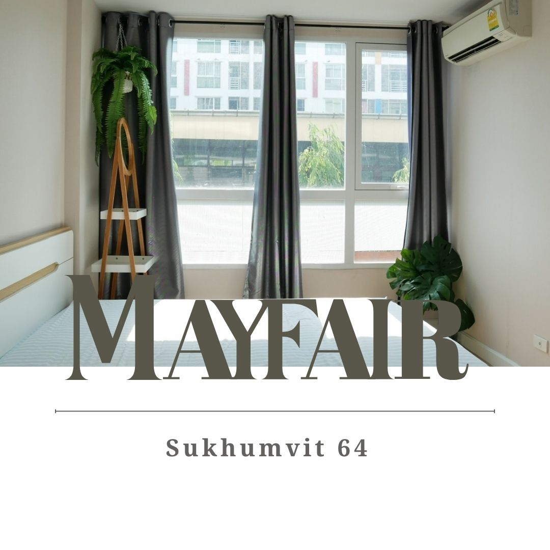 Mayfair – Window